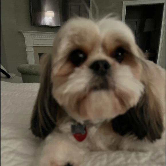 Meet your Posher, M - Picture 2 of 2